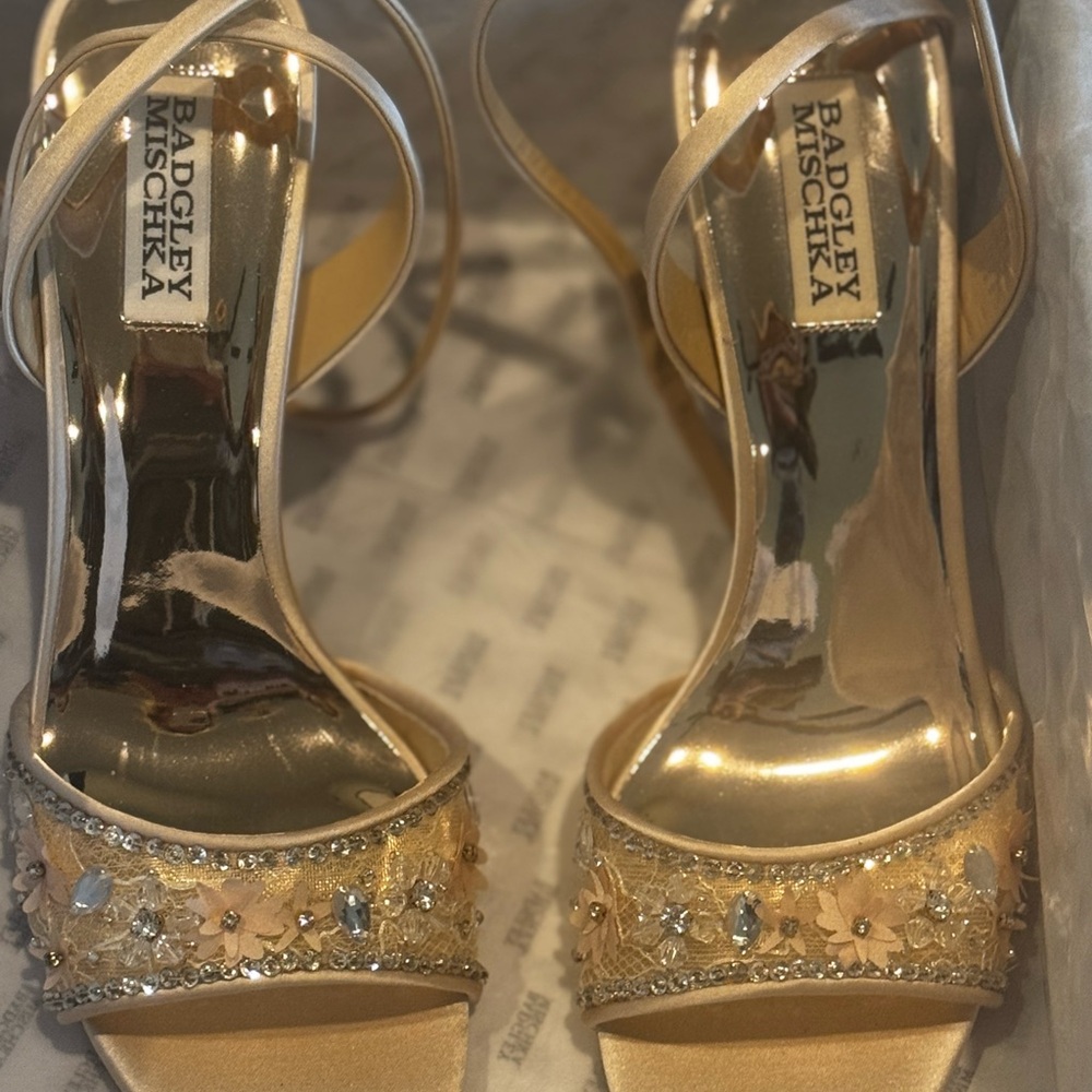 Bartley Mischa Tayten soft champagne